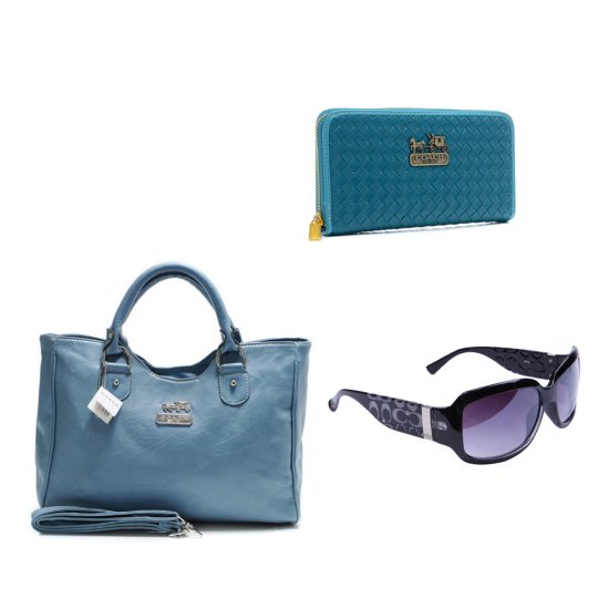 Coach Only $109 Value Spree 19 DDF Coach Only $109 Value Spree 19 DDF